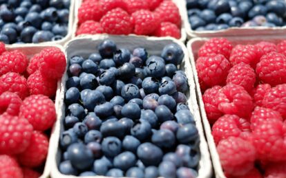 Berries